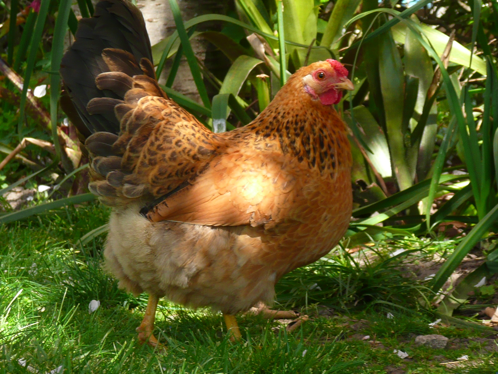 Boffa and his students